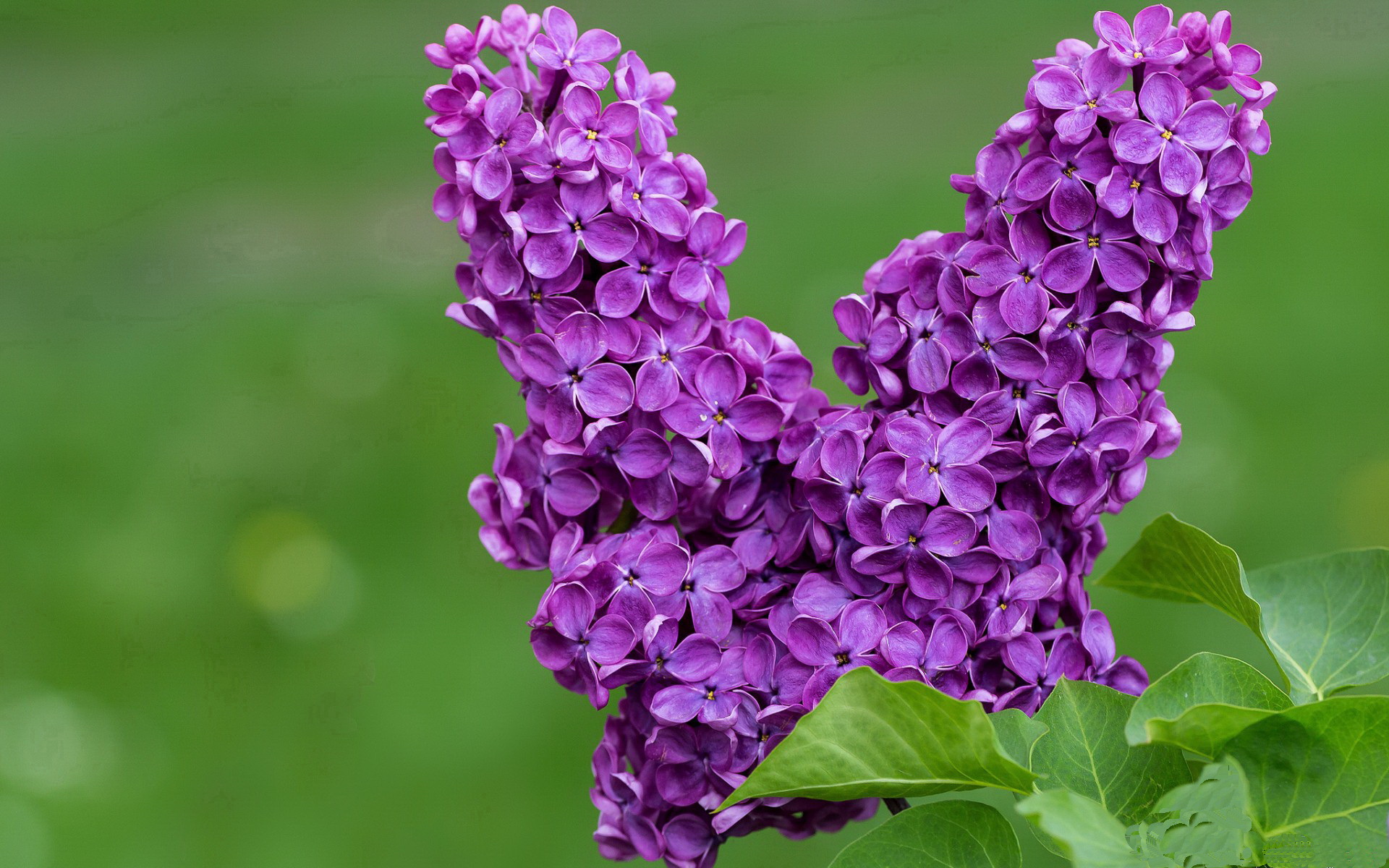 九游下载中心-2019年总决赛第六场：勇士在主场迎战热火，库里在关键第四节连续投中两记三分，带队成功逆转，夺得队史第四个总冠军。