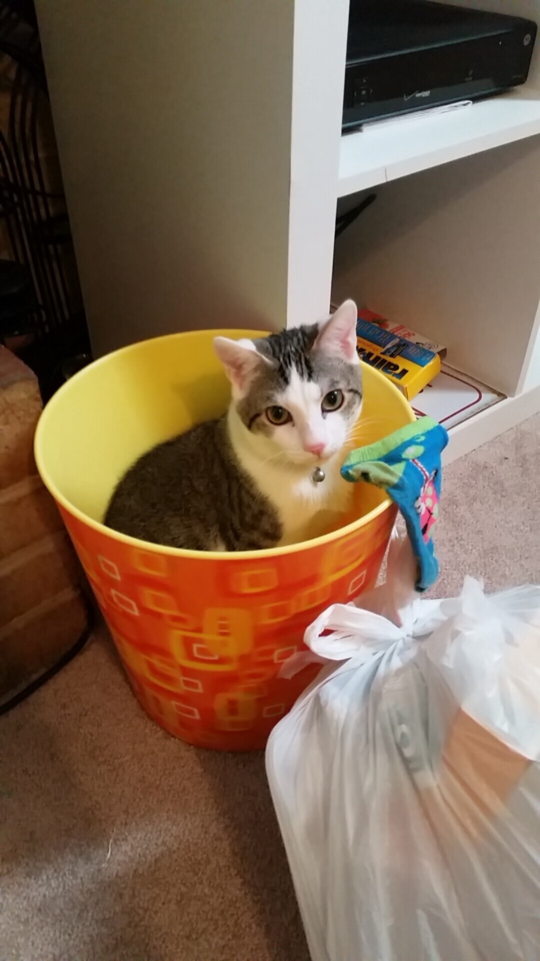 九游娱乐官网 (JIUYOU)-_体育科技创新：智能装备助力运动员突破_，智能化体育器材