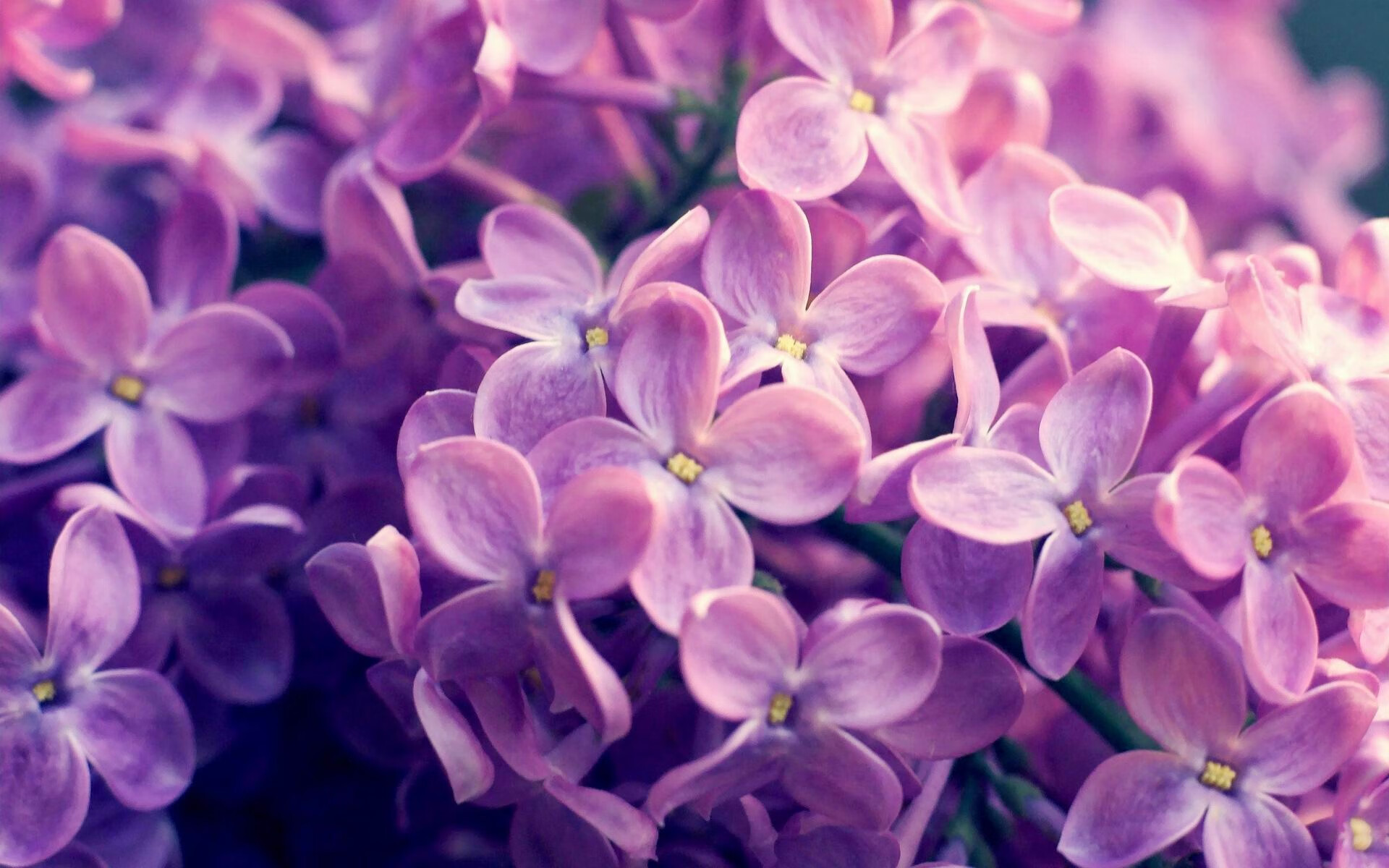 九游下载官网-“裁判幕后：鲜为人知的判罚细节”，裁判的话