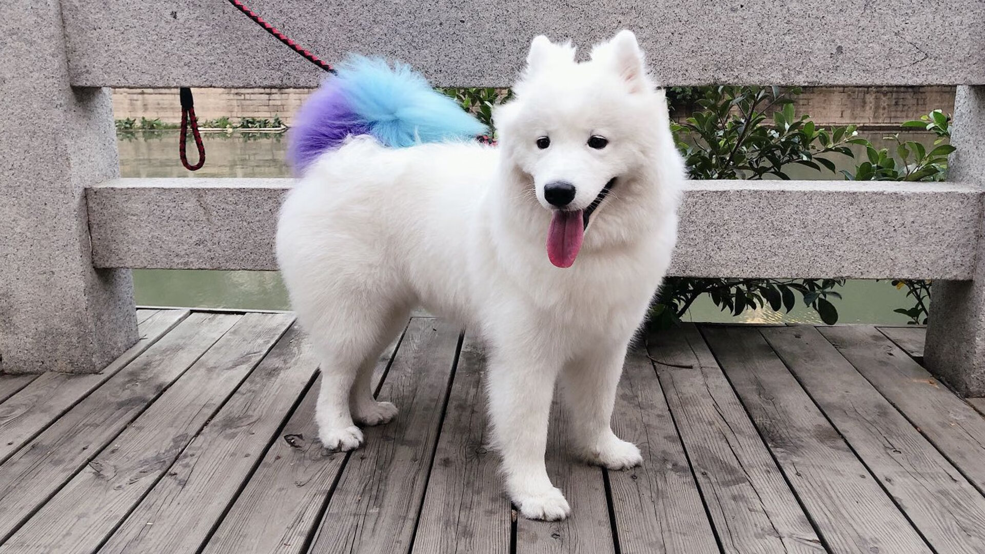 《CS_GO年度大赛,冠军归属悬念激烈激烈》,csgo每年的比赛