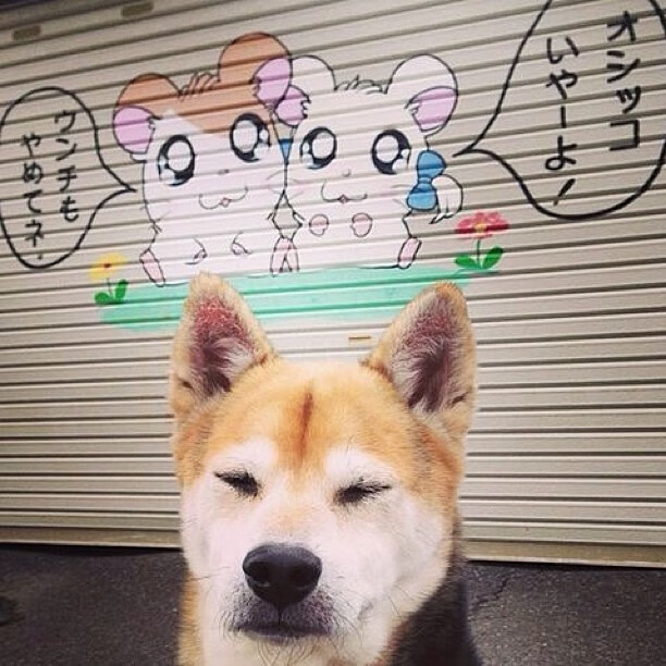 【AI预测对手战术】提前布局,赢在战术前沿!,ai预测技术