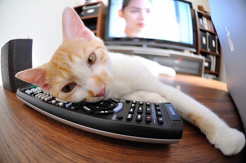 史上最“炫酷”的长距离三分:库里在对爵士比赛中投出41英尺的绝杀!