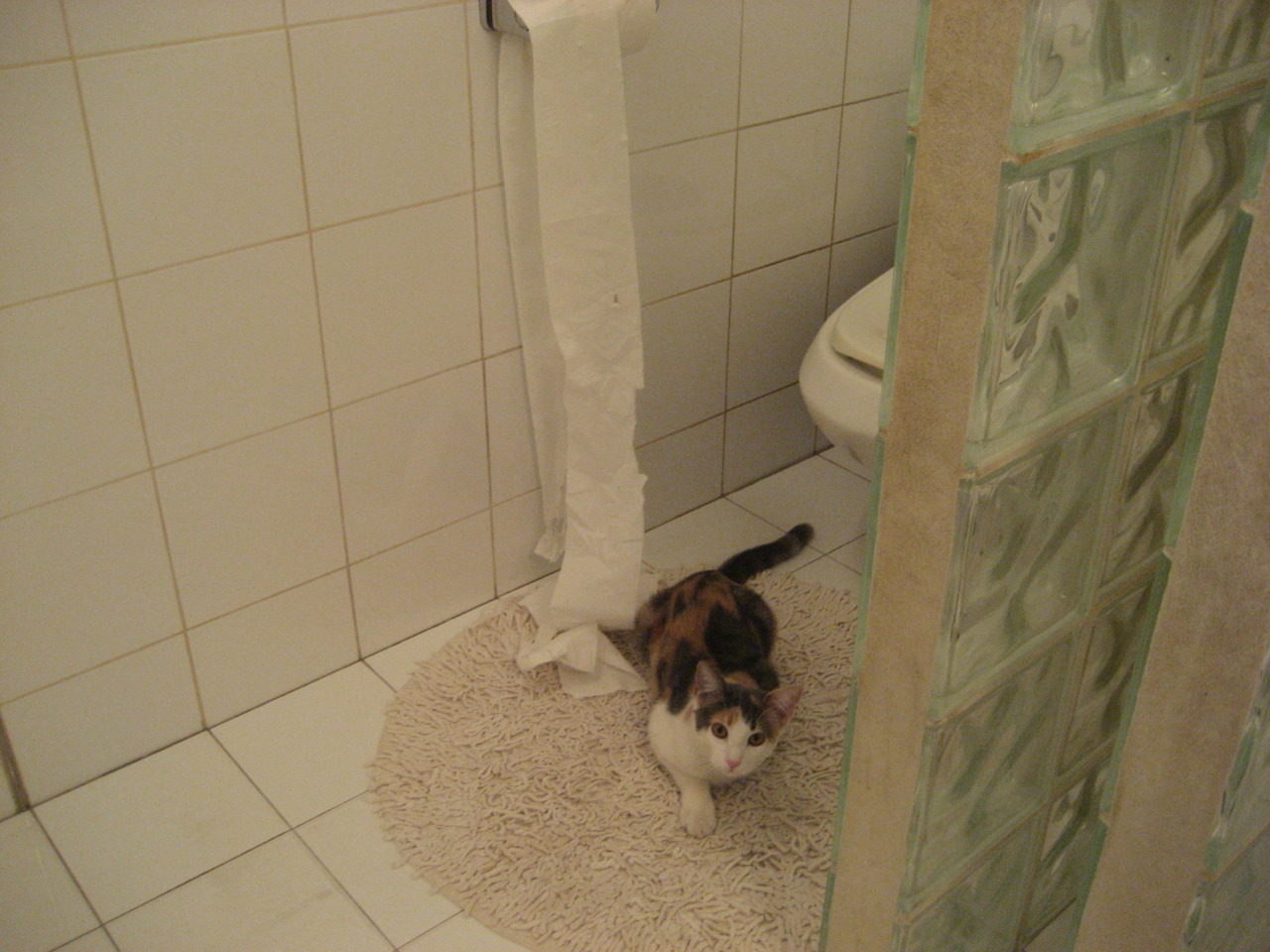 九游app下载中心-球场风云：最震撼的单场爆发瞬间，球场风云视频