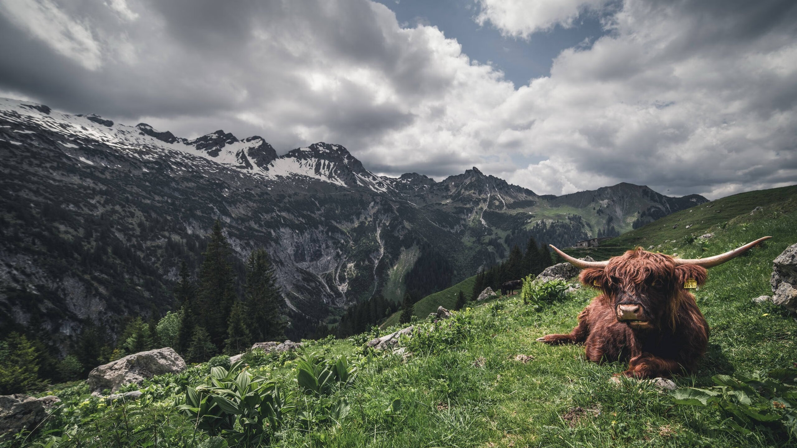 FaZe电竞选手跨项挑战LOL引关注,电竞选手fake