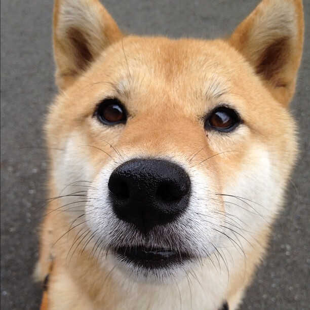 Zven角色转型初见成效,角色转变的概念