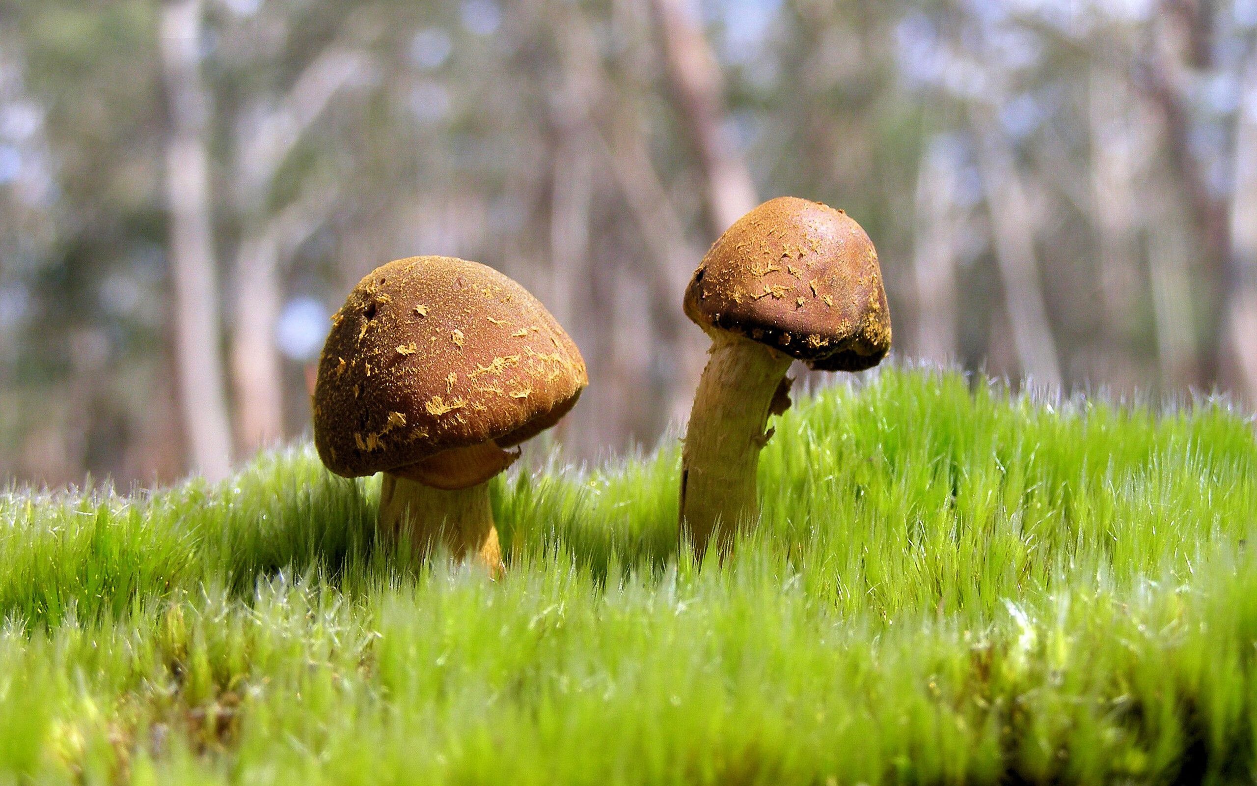 九游娱乐(jiuyou)官方网站-勇士完封独行侠，全明星赛前哨战中库里创下生涯新高，勇士库里经典比赛