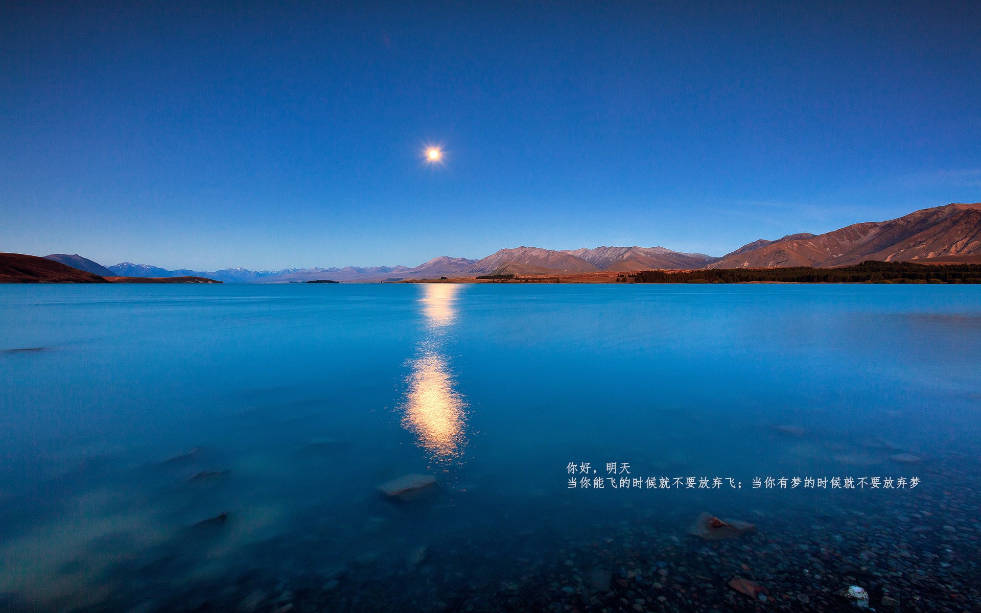 九游app官网下载-多特蒙德取胜在望，萨索洛队不甘示弱，多特蒙德萨默尔