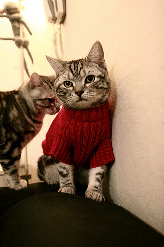 尼姆客场不敌对手,遗憾失去领先优势,尼姆vs尼奥尔比分预测