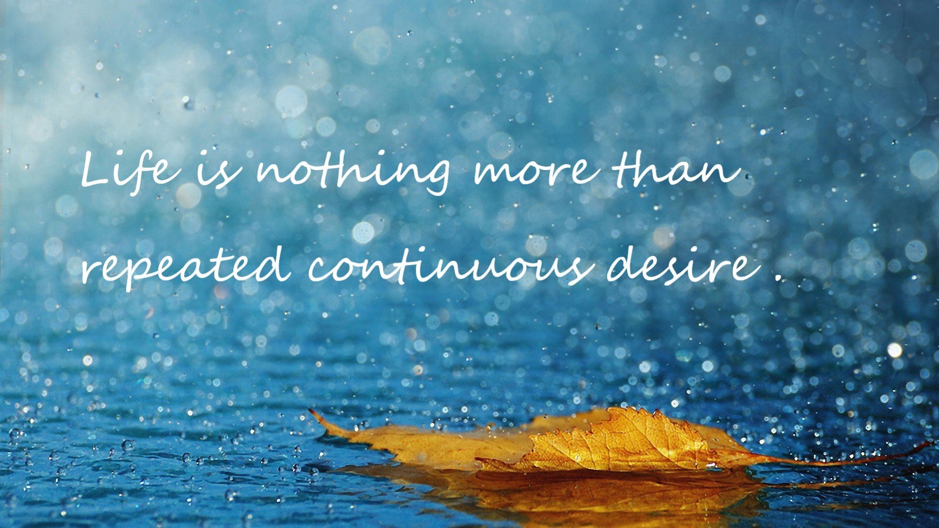 是否应强化球队与地方教育合作项目,是否应强化球队与地方教育合作项目的关系