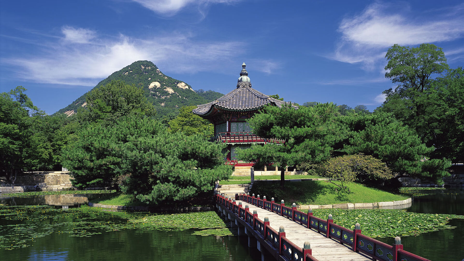 九游9游-红魔重现辉煌，欧冠赛场夺冠之路，红魔和欧洲红魔