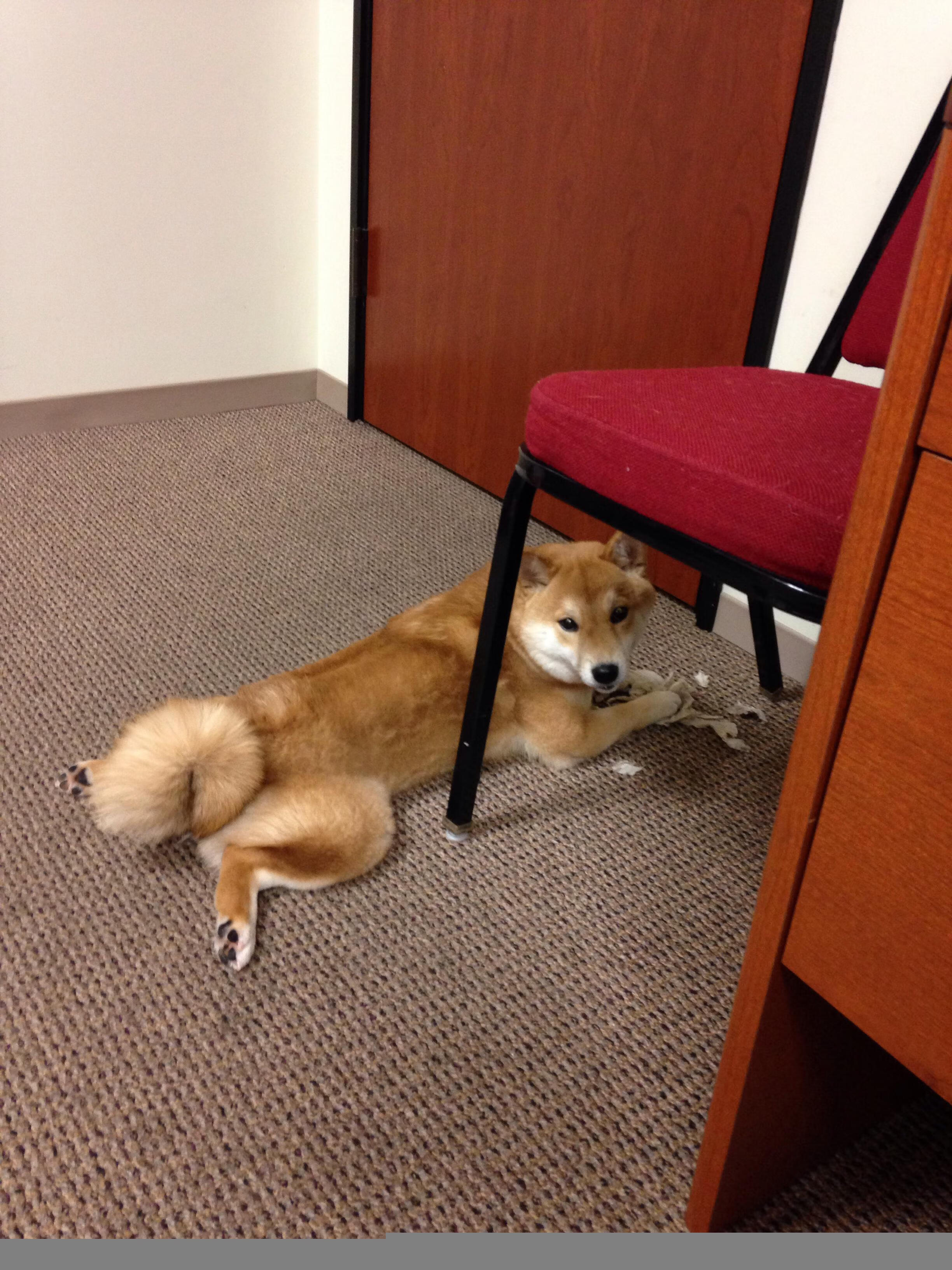 英雄本色，关键时刻胜负由此决定！，英雄本色成就了谁