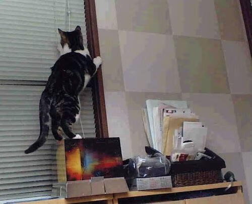 英雄球员!队内纪录最佳进球由他打破,球员职业生涯进球总数排行榜