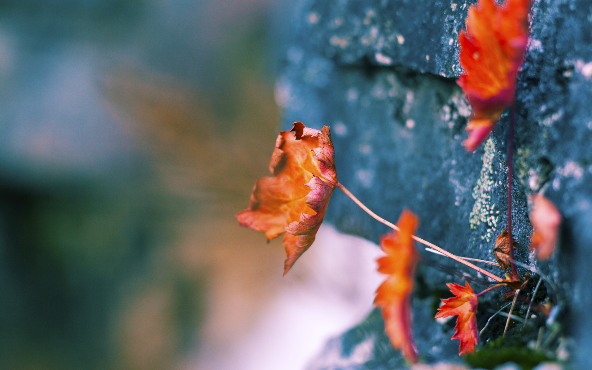 九游-英雄联盟全球赛事引入赛场观众行为管理机制，英雄联盟观众席