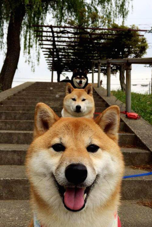 九游网页版入口-阿根廷反曲弓队展现出色竞技状态，目标东京奥运，阿根廷曲棍球厉害吗