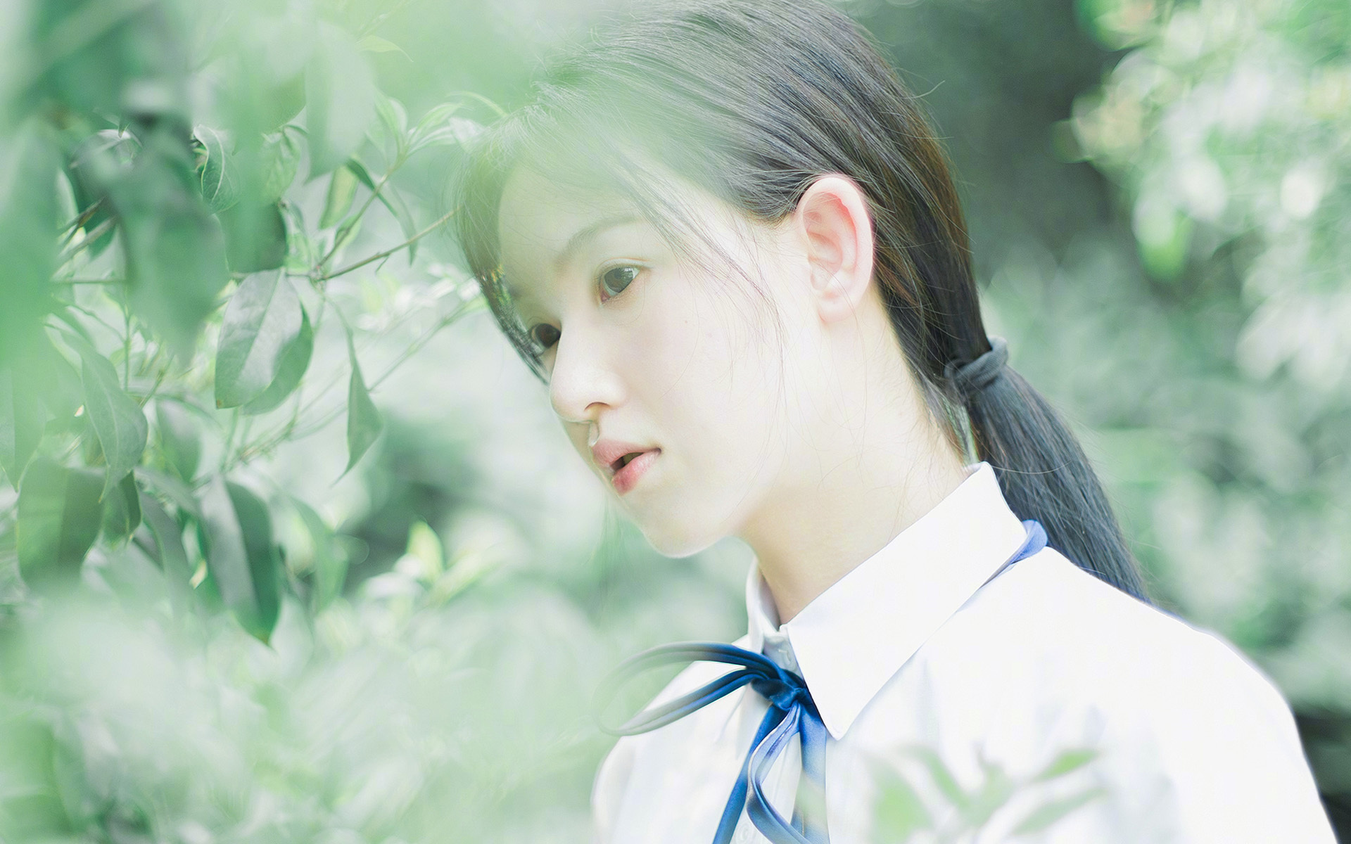 科斯用坚持和努力书写辉煌篇章,科斯的书